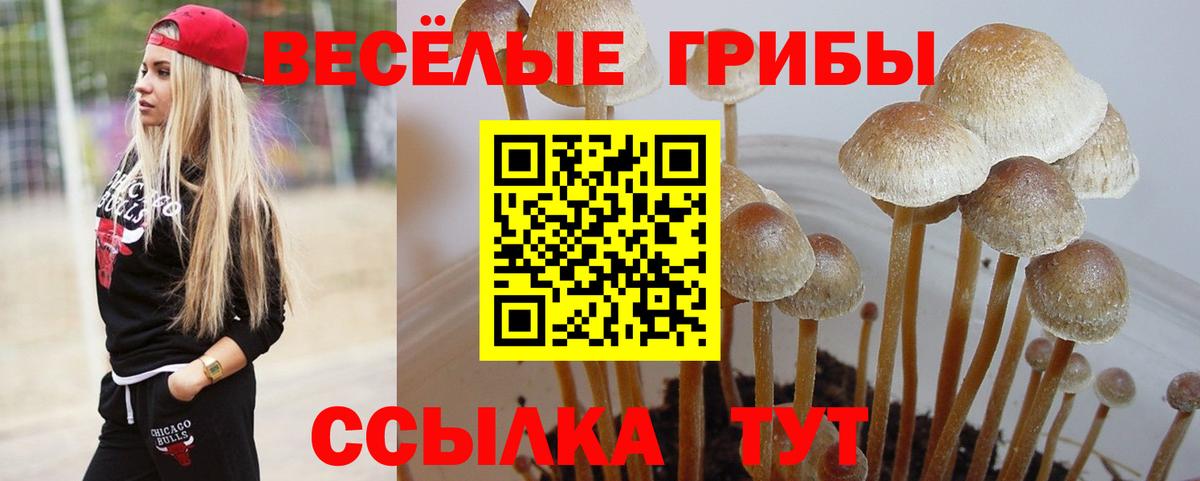 Псилоцибиновые грибы GOLDEN TEACHER  Вход с VPN  Урай 