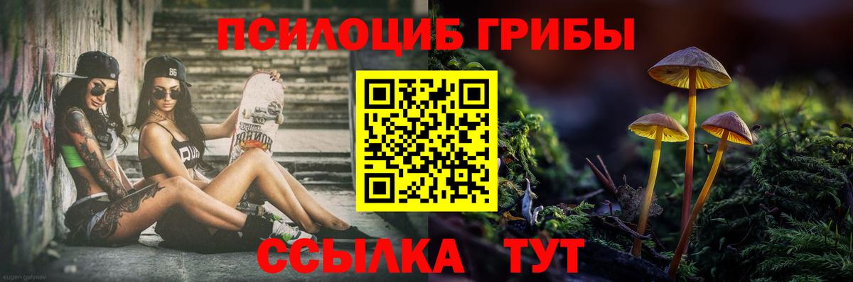 Псилоцибиновые грибы мицелий Урай